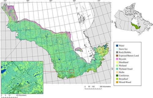 Figure 1. National Terrestrial Ecosystem Monitoring System (NTEMS) 30-m land cover map representing the Hudson Plains Ecozone, 2018 (Hermosilla et al. Citation2022, Citation2018).