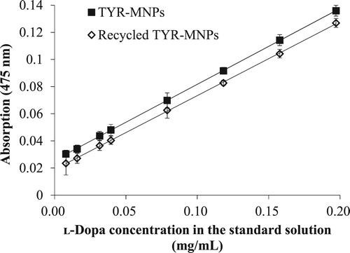 Figure 3. Regression plots of ʟ-dopa using freshly prepared and recycled TYR-MNPs from batch 2.
