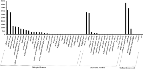 Figure 4. The classification of gene ontology (GO) of unigenes with three independent categories: biological process, molecular function, and cellular component. A total of 1,901 DEGs, 30 were annotated to biological, 15 under molecular functions, and 7 under the cellular component. Y-axis indicates the number of unigenes while the x-axis represents the GO category.