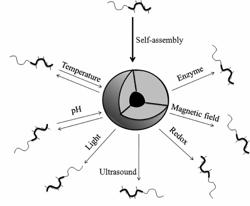 Figure 2 Important stimuli that can be exploited for destabilization of polymeric micelle.