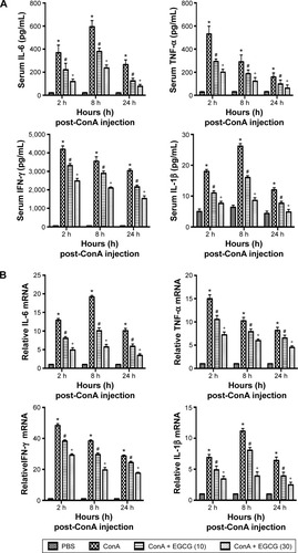 Figure 4 Effects of EGCG on the production of TNF-α, IL-6, IL-1β, and IFN-γ in mice with ConA-induced acute hepatitis.