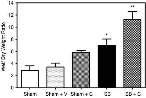 Figure 2.  Effect of NEP antagonist pretreatment in plasma extravasation: A significant increase (**p = 0.0432) in EB levels was observed in NEP antagonist pretreated mice (Checked Bar, SB+C) 48 hr following SB injury compared to animals with SB injury alone (SB, black filled bar). EB levels were also significantly (*p =0.0356) increased 48 hr following SB injury alone (black filled bar) compared to respective sham animals (open bar). Pretreatment with CGS 24592 alone (Sham + C, speckled bar) caused significant increase (69%, p = 0.016)in EB levels as compared to respective sham animals pretreated only with the drug vehicle, bicarbonate buffer (Sham + V, dotted bar). EB levels were quantitated from an authentic standard curve with known concentrations of EB. Values are means ±SE of at least 5 mice/group.