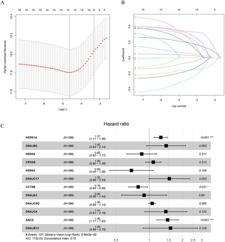 Figure 2. Construction of the prognostic model.(A) LASSO coefficient spectrum obtained from LASSO regression. Based on the graph, the optimal λ value is selected. The two dashed lines indicate two specific λ values: lambda.min and lambda.1se. The lambda.1se model is the simplest as it utilizes fewer genes, while lambda.min achieves slightly higher accuracy by incorporating a slightly larger number of genes. In this case, lambda.min is chosen for further analysis. (B) Coefficient distribution plot generated for the logarithm (λ) sequence in the LASSO model. Each curve in the figure represents a gene, the ordinate is the coefficient of the gene, and the abscissa is log(λ). (C) Forest plot of the multivariate Cox regression model, including 12 prognostic model genes and their corresponding coefficients. Hazard ratio (HR) > 1, Risk factors; HR < 1, Protective factors. *indicates P < 0.05; **indicates P < 0.01; ***indicates P < 0.001.