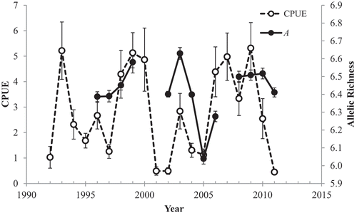 Figure 7. Mean CPUE of Spotted Seatrout in the Charleston Harbor system in the first quarter of each year and allelic richness of year-classes (adjusted) 1 year earlier; error bars = SEs.