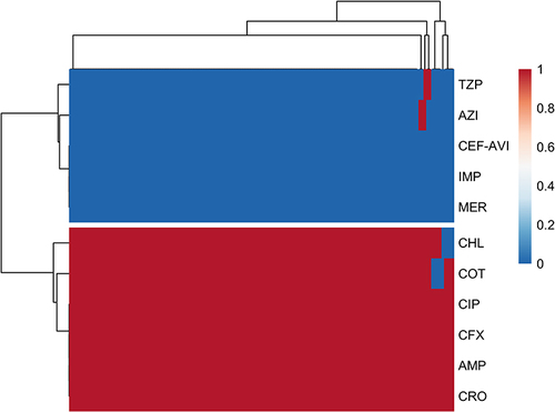 Figure 2 Transposed heatmap representing the resistance phenotypes. A rearranged heatmap was created to represent the resistance phenotypes of every isolate according to the colored code given and shown in the figure key (red = resistant and blue = sensitive). Isolates are shown on the x-axis and antibiotics on the y-axis.