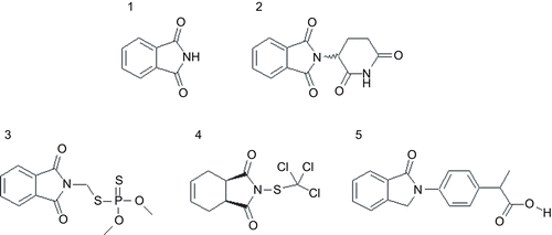 Figure 1.  Examples for derivatives of phthalimide (1) thalidomide (2), fosmet (3), captan (4) and indoprofen (5).