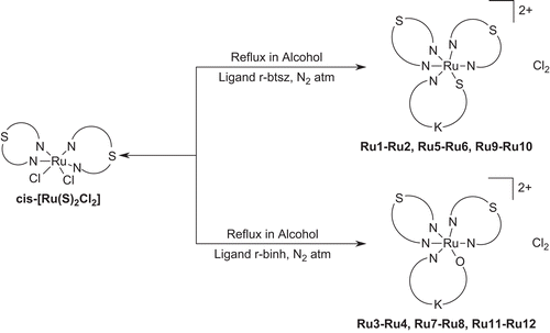 Scheme 3.  Preparation of tris chelates from cis-[Ru(S)2Cl2].
