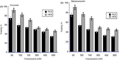 Figure 4. (A) The cell viability for HEK and PC3 cells line after treatment by curcumin, after incubated overnight at 37 °C and 5% CO2 (P < 0.05). (B) The cell viability for HEK and PC3 cells line after treatment by nanocurcumin, after incubated overnight at 37 °C and 5% CO2 (P < 0.05). The Y axis indicates the cell viability at λ = 540 nm and the X axis corresponding to curcumin and nanocurcumin concentration. Data represent three independent experiments.