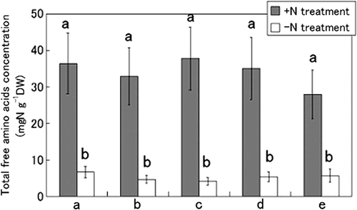 Figure 6. Comparison of the free amino acid concentration at five vertical positions in tulip (Tulipa gesneriana) roots cultivated with −N and +N treatments. The five parts of the roots were named “a”, “b”, “c”, “d” and “e,” from basalplate to root tip. Error bars show standard error (n = 4). Different letters above bars in each part indicate a significant difference at the level of P < 0.05. N, nitrogen; DW, dry weight.