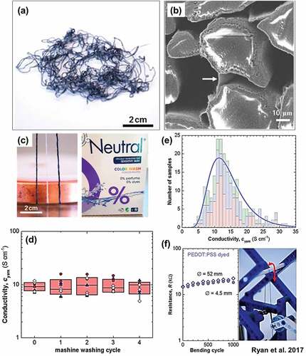 Figure 2. Features of PEDOT:PSS-coated conductive silk fibers fabricated by using a dip coating process. (a) Photo and (b) cross-sectional SEM image of PEDOT:PSS-coated conductive silk fibers. (c) Photo of conductive fibers in water. (d) Change in the conductivity of PEDOT:PSS-coated conductive silk fibers over four machine-washing cycles. (e) Distribution of the conductivity of PEDOT:PSS-coated conductive silk fibers. (f) Change in the resistance of PEDOT:PSS-coated conductive silk fibers over 1000 bending cycles. Reproduced with permission from ref. (Ryan et al. Citation2017).