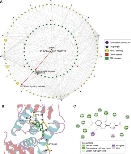 Figure 3 The ingredient–target–pathway/disease network.