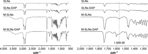 Figure 5 Infrared spectra of DAP, SLNs, SLNs-DAP, M-SLNs and M-SLNs-DAP (n=3).Abbreviations: M-SLN-DAP, dapsone-loaded mannosylated solid lipid nanoparticles; M-SLNs, mannosylated solid lipid nanoparticles; SLN-DAP, dapsone-loaded solid lipid nanoparticles; SLNs, solid lipid nanoparticles.