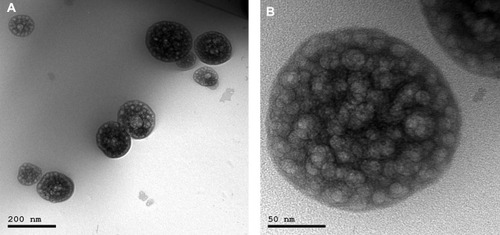 Figure 3 TEM images of (A) optimized DLX in situ cubo-gel formulation and (B) magnified single cubosome. The images show the cubosomes with numerous water channels in their structure.