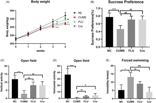 Figure 1. Crocin attenuates CUMS-induced depressive symptoms in depression-like rats. (A) Body weight in various groups. (B) Sugar consumption rates in various groups. (C) Vertical activity in various groups. (D) Horizontal activity in various groups. (E) Immobility time in various groups. Data are mean ± standard deviation, n = 6. *p < 0.05, **p < 0.01, ***p < 0.001 versus NC group; #p < 0.05, ##p < 0.01, ###p < 0.001 versus the CUMS group.