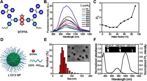 Figure 1 Characterization of BTPPA molecule and L1013 NPs. (A) Chemical structure of BTPPA molecule. (B) PL spectral of BTPPA molecule in THF/water mixtures with different water fractions (fw) at a concentration of 10 μg mL‒1. (C) Plot of PL peak intensity of BTPPA versus fw of THF/water mixture. I0 and I are the PL peak intensity in pure THF (fw =0) and THF/water mixture with specific fw. (D) Schematic illustration of L1013 NP. (E) DLS and TEM (inset) measurement results. (F) Normalized UV-vis-NIR spectrum and PL spectrum of L1013 NPs in water. Inset: Fluorescence imaging of L1013 NPs under different LP filters (excitation at 808 nm with a power density of 4.6 mW cm‒2).