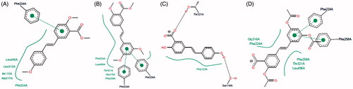 Figure 6. Two-dimensional representation of the binding interactions observed between the active site of CYP1A1 and compounds (A) 3; (B) 7, (C) 8 and (D) 12. 2D figures were generated according to a procedure described in the literatureCitation47.