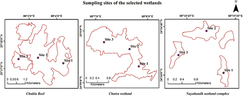 Figure 3. Sampling sites of the selected wetlands.