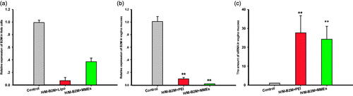 Figure 5. Relative B2M expression in (a) Hela cells and (b) vaginal mucosa treatment with different formulations. (c) The amount of siRNA in vaginal mucosa. Data were expressed as mean ± SD (n = 6). *p < .05; **p < .01.