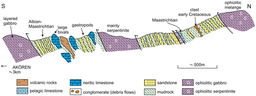 Figure 30. Cross-section showing interslicing of Cretaceous Eurasian margin-related sediments with ophiolitic rocks; Horasan area (see Figure 6). The Eurasian margin units are tectonically dismembered, while the intact sequences include interbedded debris-flow deposits.