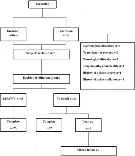 Figure 1. Screening, randomization and follow up flowchart.