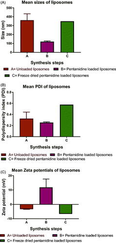 Figure 3. Liposomal particle physicochemical properties of unloaded, pentamidine-loaded and freeze dried pentamidine-loaded liposomes. (A) Sizes, (B) PDI, (C) Zeta potential. Data is presented as mean ± SE. Sample size (unloaded and loaded liposomes n = 3 and freeze-dried n = 1(pooled sample)). No statistical differences were found at p < .05.