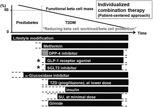 Figure 6. Updated management strategy for T2DM (modified from [Citation8]). T2DM is characterized by progressive loss of functional beta cell mass (BCM) on a background of insulin resistance. Therefore, treatment of T2DM should focus on aiming at reducing beta cell workload to maintain optimal glycemic control. Lifestyle modification and weight loss remain the most fundamental and important therapy to improve insulin resistance. Pharmacotherapy should also be initiated to reduce beta cell workload, and thereby, metformin, SGLT2 inhibitors, and α-glucosidase inhibitors are preferred if tolerated. GLP-1RAs and SGLT2 inhibitors are expected to improve CV outcomes, and their use should be considered in those at high risk of CVD and those with heart failure and/or chronic kidney disease. DPP-4 inhibitors are expected to improve beta cell function, and better glycemic durability with initial combination therapy of a DPP-4 inhibitor with metformin compared with metformin monotherapy has been reported. Selection of the treatment option should be individualized according to a patient-centered approach. * Cardiorenal benefits have been shown in CVOTs.