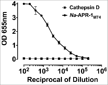Figure 2. Enzymatic activity of Na-APR-1 wt is inhibited by anti-Na-APR-1M74 IgG in vitro. (A) Na-APR-1 wt (37.5 nM) was incubated for 60 min at 37{degree sign}C with increasing amounts of different pools of IgG from mice vaccinated with Na-APR-1M74 in 50 mM sodium acetate (pH 5.5). Inhibition of activity was determined by a decrease in cleavage of the aspartic protease fluorogenic peptide substrate 7-methoxycoumarin-4-acetyl-GKPILFFRLK(DNP)-D-Arg-amide. G11 – G20 represent pooled, purified IgG from groups of 10 mice that were each vaccinated with one of a dilution series of Na-APR-1M74. "Negative" represents pooled, purified IgG from a group of 10 mice vaccinated with adjuvant only. (B) Na-APR-1 wt (37.5 nM) and 10 μg of human hemoglobin (Hb) were incubated for up to 144 hours at 37{degree sign}C with 5 μg of different pools of IgG from mice vaccinated with Na-APR-1M74 in 50 mM sodium acetate (pH 5.5). Inhibition of activity was determined by absence of Hb degradation as visualized by denaturing gel electrophoresis. Lane 1 = G11; lane 2 = G15; lane 3 = G18; lane 4 = G20; lane 5 = negative; lane 6 = no IgG; lane 7 = Hb only.