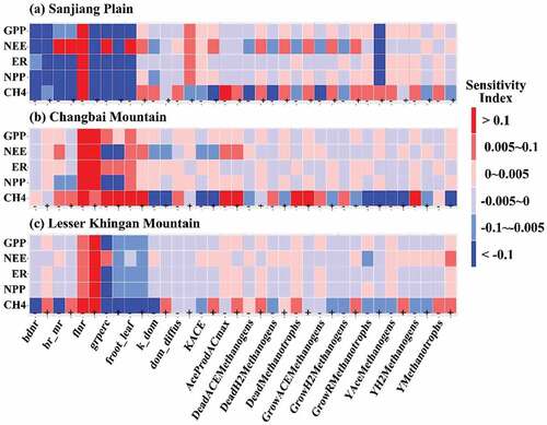 Figure 6. Sensitivity analysis of the CLM-Microbe model in terms of gross primary productivity (GPP), net ecosystem carbon exchange (NEE), ecosystem respiration (ER), net primary productivity (NPP), and methane (CH4) flux to 18 parameters (KAce, AceProdACmax, GrowAceMethanogens, GrowH2Methanogens, GrowRMethanotrophs, DeadAceMethanogens, DeadH2Methanogens, DeadRMethanotrophs, YAceMethanogens, YH2Methanogens, YMethanotrophs, k_dom, dom_diffus, froot_leaf, flnr, grperc, bdnr, and br_mr) for (a) Sanjiang Plain, (b)Changbai Mountain, and (c) Lesser Khingan Mountain. The symbols “+”and “‐” indicate a 20% increase or 20% decrease of parameter values. Darker red and darker blue indicate a stronger positive or negative model response to a parameter change. S is negative if the direction of model response opposes the direction of a parameter change, and vice versa.