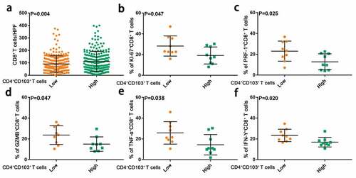 Figure 5. Intratumoral CD103+CD4+ T cells are associated with impaired anti-tumor immunity by CD8+ T cells. (a) Numbers of CD8+ T cells in tissue microarray samples from patients with low and high CD103+CD4+ T cell infiltration. Significance was assessed by unpaired t test. (b) Ki67 expression of CD8+ T cells in gastric cancer tissue samples from patients with low(n = 9) and high(n = 9) CD103+CD4+ T cell infiltration. Significance was assessed by unpaired t test. (c and d) Cytolytic markers expression (PRF-1 and GZMB) of CD8+ T cells in gastric cancer tissue samples from patients with low(n = 9) and high(n = 9) CD103+CD4+ T cell infiltration. Significance was assessed by unpaired t test(c) and Mann Whitney U test(d). (e and f) Effector cytokines expression (TNF-α and IFN-γ) of CD8+ T cells in gastric cancer tissue samples from patients with low(n = 9) and high(n = 9) CD103+CD4+ T cell infiltration. Significance was assessed by Mann Whitney U test(e) and unpaired t test(f). Bar plots show mean ± SD