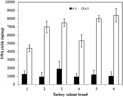 Figure 1. Amount and standard deviation of DNA extracted from six Tunisian brands of turkey salami. (A.1) Bardakci and Skibinski2 Standard Protocol, (A.2) with homogenization by a ball mill (vibro mill MM 400).1DNA yield is calculated by multiplying the DNA concentration measured by nanodrop (ng/µl) by the elution volume (µl) divided by the sample mass (mg). 2Phenol Chloroform Isoamyl alcohol protocol corresponding to Bardakci and Skibinski protocol.