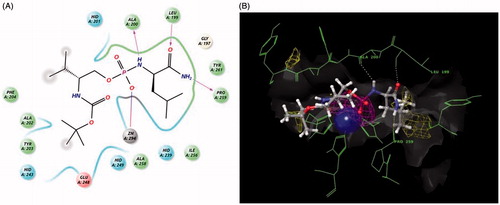 Figure 2. Figures exported from Maestro 9.8 (2014). (A) Two-dimensional ligand representation of 1b in the catalytic domain coordinating to Zn294 and making three hydrogen bonds to Ala200, Leu199, and Pro259. (B) Three-dimensional view with metal binding (purple) and hydrophobic (yellow) mesh density maps as well as surface. (See color rendition in the online journal article).