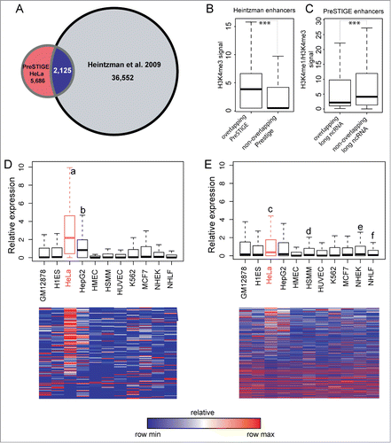 Figure 3. Comparison of PreSTIGE predicted enhancers to previous methods. (A) Venn diagram showing the overlap between enhancers in HeLa predicted byCitation7 using H3K4me1 and H3K4me3 profiles compared to HeLa tissue-specific enhancers predicted by PreSTIGE. (B) Quantification of H3K4me3 at enhancers predicted byCitation7 overlapping or not overlapping PreSTIGE predicted enhancers, respectively. *** P-value < 2.2e-16. (C) The ratio of H3K4me1 to H3K4me3 for PreSTIGE predicted enhancers overlapping or not overlapping a long ncRNA, respectively. *** P-value 0.00039. (D and E) As in Figure 2. Shown are average relative expression values across 11 cell lines for all long ncRNAs overlapping predicted enhancers in HeLa cells as bar-plots (upper panels) or heatmaps (lower panels). (D) Expression at enhancers predicted by the modified PreSTIGE method. a P-value < 2.2e-16, b P-value 9.0e-10. (E) Expression at enhancers predicted by Heintzman et al., 2009. c P-value 9.5e-07, d P-value 3.9e-05, e P-value 6.4e-06 and f P-value 1.6e-06. Statistical analyses were done using Mann-Whitney-Wilcoxon test.