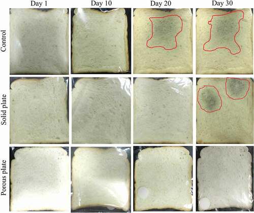 Figure 7. Visual appearance of bread slice stored without and with antimicrobial plates