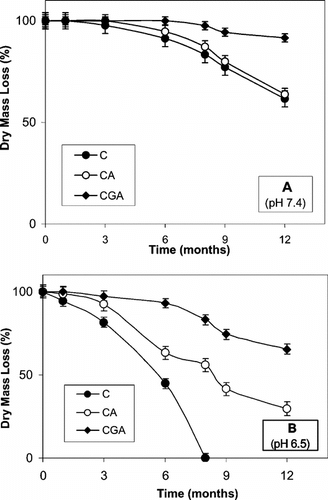Figure 2 In vitro degradation of chitosan beads in dissolution solutions of PBS at (A) pH 7.4 and (B) pH 6.5 (37°C; static conditions, weekly fresh medium changes). C: chitosan-TPP; CA: alginate-coated chitosan-TPP; CGA: glutaraldehyde-crosslinked chitosan-TPP. All values presented are given as mean ± SD.