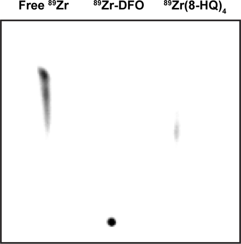 Figure S3 RadioTLC of free 89Zr, 89Zr-DFO, and 89Zr(8-HQ)4.Abbreviations: TLC, thin-layer chromatography; DFO, deferoxamine; 8-HQ, 8-hydroxyquinoline.