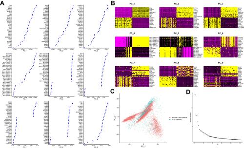 Figure 3 The top 9 significantly correlated genes. (A) The related genes of each PCA in the top 9 PCAs. (B) PCA related gene heat map (Top9 dimensions). (C) Two-dimensional map of PCA cell distribution. (D) Examine and visualize PCA results with Elbow Plot.