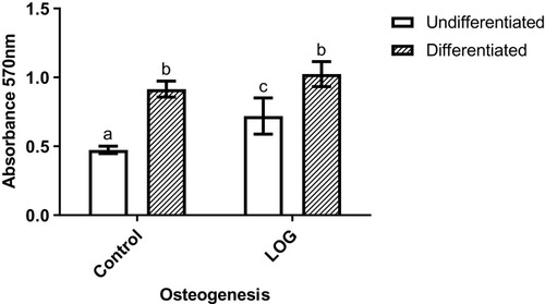 Figure 4 Osteogenic differentiation assay. Calcium content of cells that were seeded on tissue culture polystyrene (Control) and low-oxygen graphene (LOG) surfaces were visualized by Alizarin red staining and subsequently quantitated. The calcium content of cells seeded in growth media without any osteogenic inducers (undifferentiated) was compared to cells that were exposed to differentiation media (differentiated) for 21 days. Media blank, ie the tissue culture polystyrene and LOG surfaces without any cells were used as blanks and the corresponding absorbance readings were subtracted. Significantly different values (p<0.05) are indicated by letters. Identical letters indicate no significance.