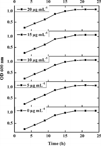 Figure 8. Growth curve of Escherichia coli treated with varied concentration of Arg–NiGs (5–20 µg mL–1).