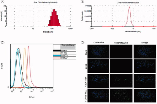 Figure 1. The size distribution (A) and zeta potential distribution (B) of T-S-NLC. The flow cytometry result of CD133+ NCI-H1299 CSCs separated using the immunomagnetic beads (C). In vitro cellular uptake study of various preparations in CD133+ CSCs observed by the laser confocal microscopy (D). The green signal represented Cou6 and the blue signal represented the Hoechst 33258.