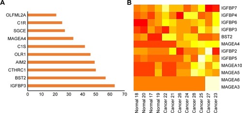 Figure 1 Rank order and heat map of genes differentially expressed in cutaneous squamous cell carcinoma cells vs normal human epidermal keratinocytes.