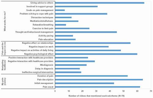 Figure 3. Number of videos for each subtheme identified