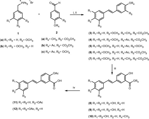 Scheme 1. Chemical synthesis of resveratrol–salicylate derivatives 3–12. Reagents and conditions: (i) n-butyllithium, dry THF, −78 °C for 2 h then room temperature for 12–18 h; (ii) Ph2S2, dry THF, reflux 4 h; (iii) BBr3, dry CH2Cl2, −60 °C then room temperature for 2 h; (iv) acetic anhydride, pyridine room temperature for 4 h.