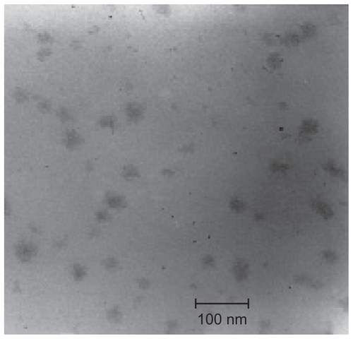 Figure S1 Transmission electron microscopy image of biotin 7.01-MTX-HSA NPs.Abbreviations: MTX-HSA NP, methotrexate–human serum albumin conjugated nanoparticle; biotin 7.01-MTX-HSA NPs, biotin targeted methotrexate–human serum albumin nanoparticles: 7.01 ± 0.14 biotin/human serum albumin molar ratio.