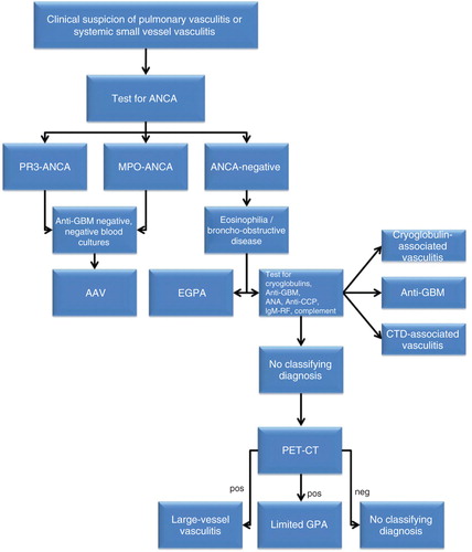 Figure 1. Algorithm for the diagnostic process when evaluating a patient clinically suspected for pulmonary vasculitis. Firstly, the patient is evaluated for the presence of anti-neutrophil cytoplasmic antibodies (ANCA). If ANCA directed to proteinase 3 (PR3-ANCA) or ANCA directed to myeloperoxidase (MPO-ANCA) are present, a test for the presence of anti-glomerular basement membrane (GBM) antibodies should be performed to exclude anti-GBM disease. In addition, blood cultures should be obtained to exclude endocarditis. If both are negative, a diagnosis of ANCA-associated vasculitis (AAV) is likely. If ANCA are not found, lung function tests should be performed to evaluate the presence of bronchusobstructive lung disease/asthma. If present in combination with eosinophilia a diagnosis of eosinophilic granulomatosis with polyangiitis (EGPA) is likely. If asthma and eosinophilia are absent, tests for cryoglobulins, anti-GBM antibodies, anti-nuclear antibodies (ANA), anti-cyclic citrullinated peptide (anti-CCP), rheumatoid factor (IgM-RF), and complement should be performed. If after these tests are performed no classifying diagnosis is made, 18F-FDG-PET CT scan can be the next step. The 18F-FDG-PET CT scan may reveal uptake in large vessels suggesting large vessel vasculitis. In addition, uptake in the upper/lower respiratory tract is suggestive of localized granulomatosis with polyangiitis (GPA) when other disorders (such as tuberculosis and lymphoma; see text) can be excluded.