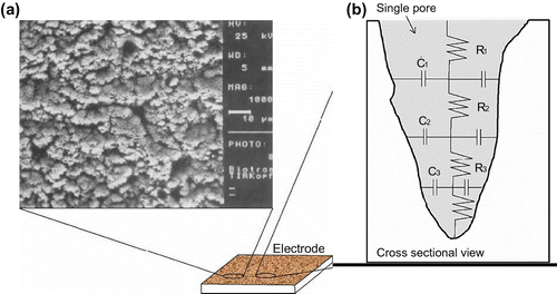 Figure 5 Highly porous surface of sputtered TiN resulting in a large effective electrode surface area. Note: (a) SEM image of TiN surface. Reprinted by permission of Schaldach, Hubmann, Weikl, and Hardt (Citation1990). (b) Schematic of a pore cross-section with pore resistance R and double-layer capacitance C. Modified from Cogan (Citation2008).