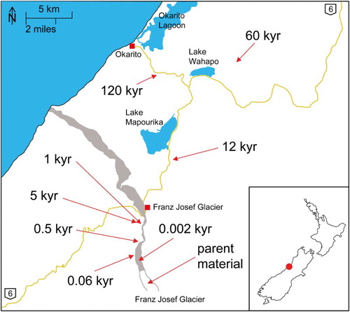 Figure 1. Map of the South Island of New Zealand showing the location of the Franz Josef Glacier chronosequence sampling sites, marked with their estimated ages as determined by Stevens (Citation1968) and Almond et al. (Citation2001).