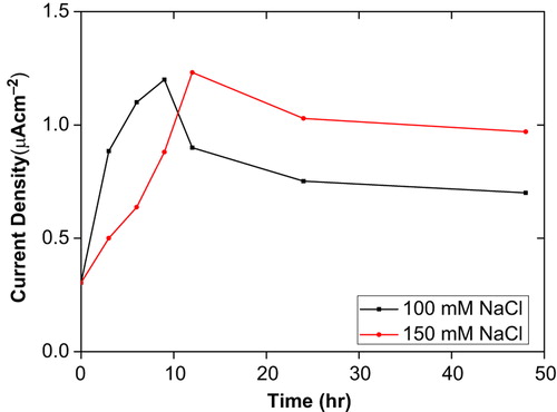 Figure 3. Effect of salt on O2•−  production in tomato plants seedling after 48 hours treatment.