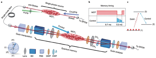 Figure 7. Experimental setup and energy level scheme of the single-photon QM. (a) Schematic of the experimental optical setup. (b) The memory operation timing shows the MOT sequence and the optimized control laser intensity time-varying profile in each experimental cycle. (c) The atomic energy level scheme of the QM based on EIT. Reprinted with permission [Citation39].