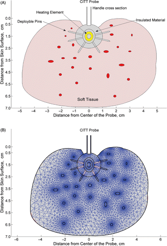 Figure 2. The geometry of the model showing a cross section of the CITT probe inserted into a tissue cavity. The red ellipses represent blood vessels randomly distributed within the tissue (A), and the progressive mesh of 11038 elements used in the FEM (B). (published with permission from: Conductive Interstitial Thermal Therapy (CITT) Device Evaluation in VX2 Rabbit Model, Technology in Cancer Research and Treatment, 6(3), 235–46, 2007. Adenine Press, http://www.tcrt.org)