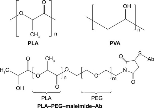 Figure 4 PLA-based nanoparticle delivery systems for siRNA delivery in IBD treatment.Notes: Chemical structures of PLA, PVA, and PLA–PEG–maleimide–Ab.Abbreviations: Ab, antibody; IBD, inflammatory bowel disease; PEG, polyethylene glycol; PLA, polylactide; PVA, polyvinyl alcohol; siRNA, short interfering RNA.
